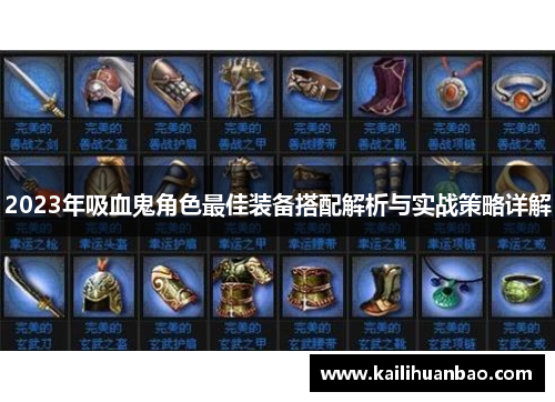 2023年吸血鬼角色最佳装备搭配解析与实战策略详解