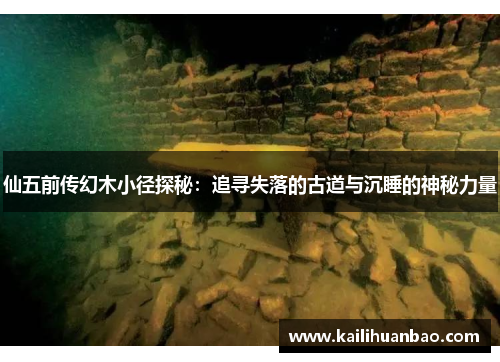 仙五前传幻木小径探秘：追寻失落的古道与沉睡的神秘力量