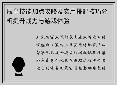 辰皇技能加点攻略及实用搭配技巧分析提升战力与游戏体验